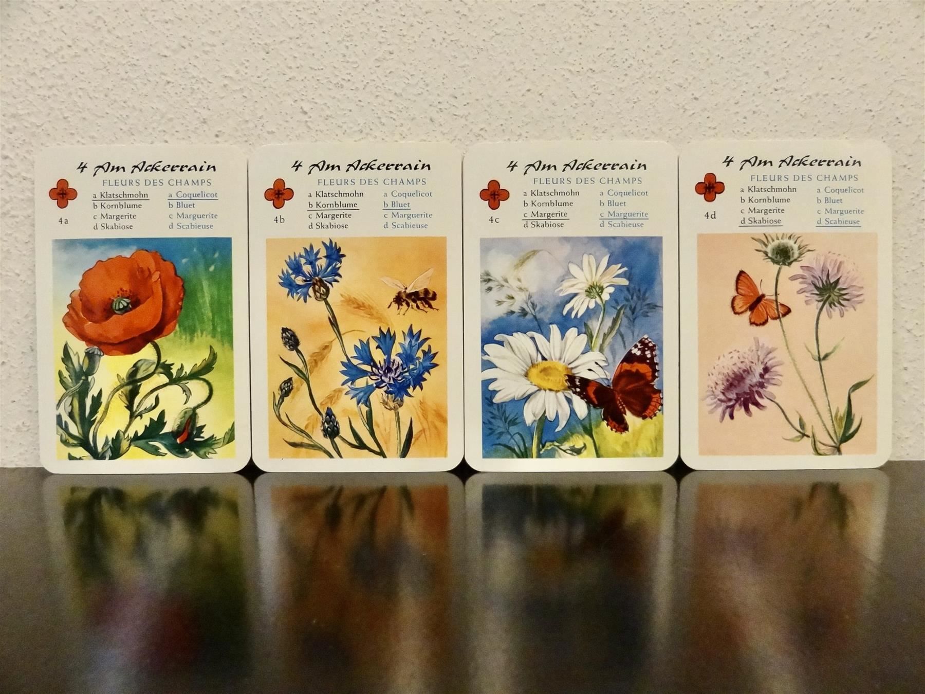 Spiele: altes Quartett BLUMEN-QUARTETT BLUMEN – Gebraucht aus Kerzers von wisaundso 6