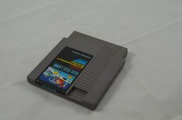 Clu Clu Land NES Spiel