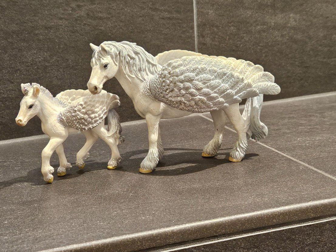 Schleich Figuren: SCHLEICH Pegasus Set – Gebraucht aus Balgach von silvia2030
