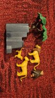 Playmobil Löwenfamilie 3895
