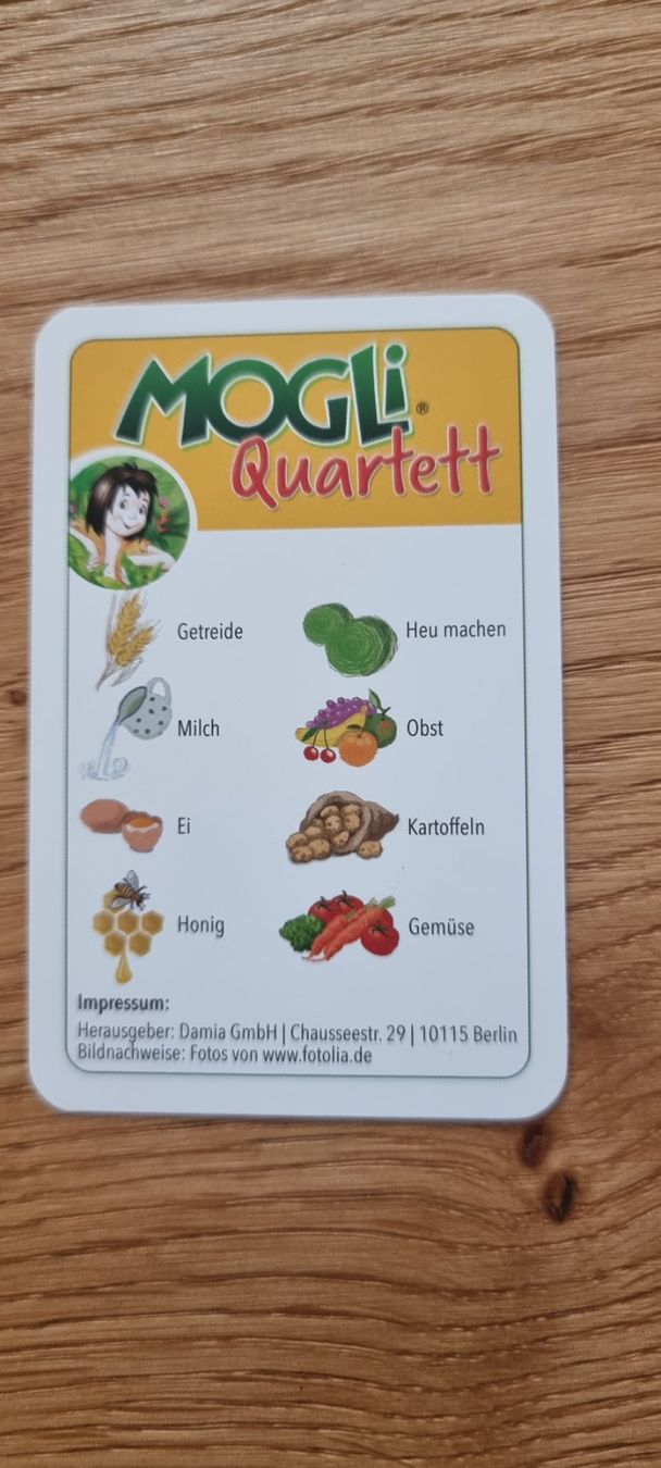 Giochi: 3er-Set: Quartett-Spiele – Usato da Lachen SZ venduto da allesweg78 8