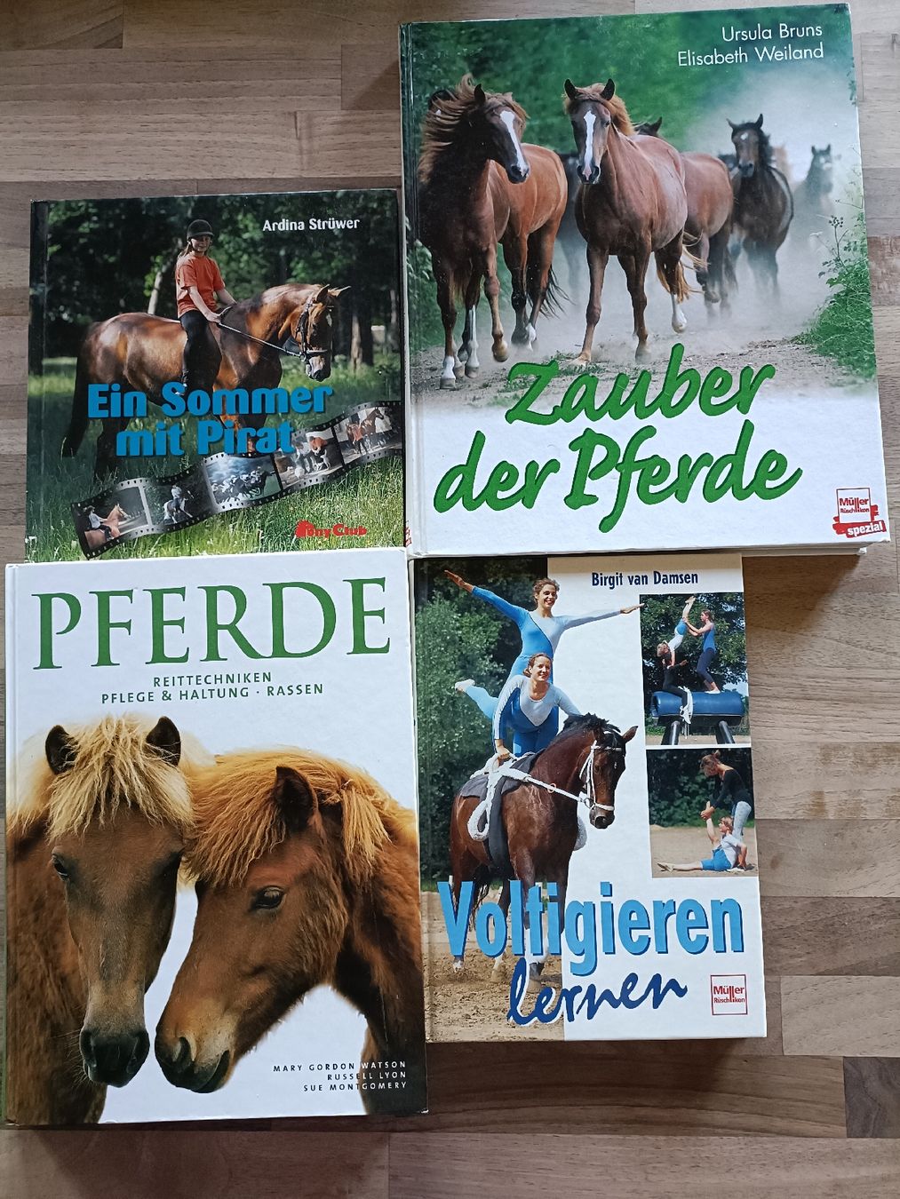 Libri: pferdebücher – Usato da Cham venduto da TR75