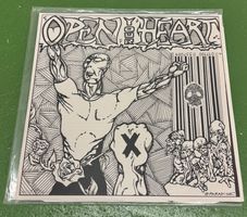 Open Your Heart: Straight Edge Honesty (90er Hardcore)