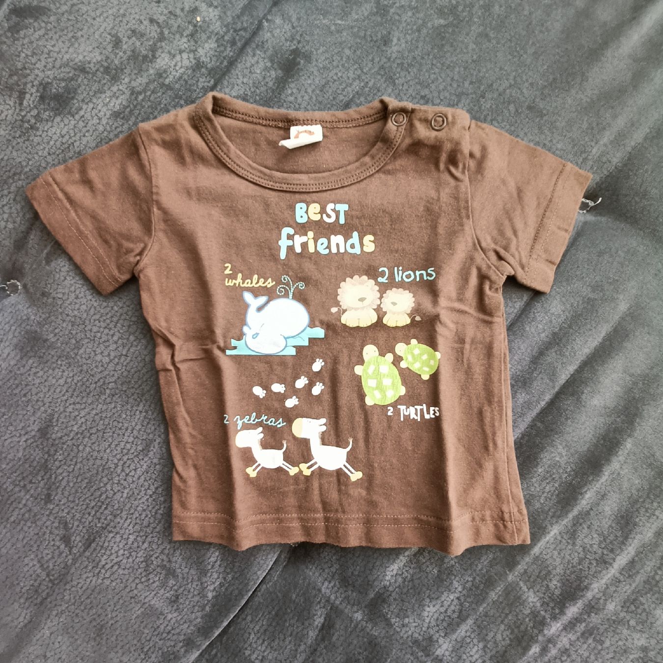 Camicie, T-shirt & Polo: T-Shirt Grösse 62 – Usato da Jaberg venduto da urig17.