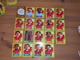🔥🇨🇭19x Panini Team Schweiz/Suisse SUI 1-20 (ohne SUI5)