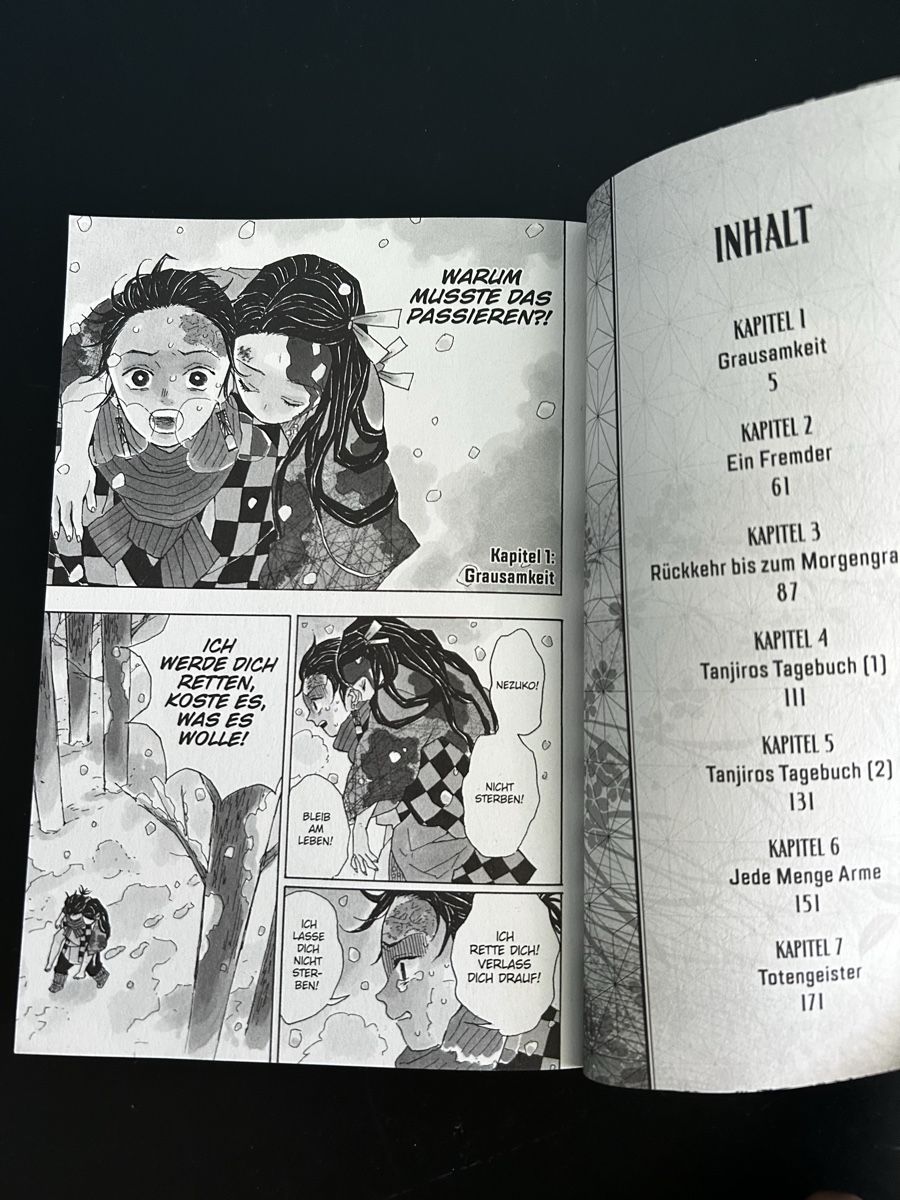 Fumetti: Demon Slayer Bänder 1—3 – Usato da Ettingen venduto da fab_mw9q 1