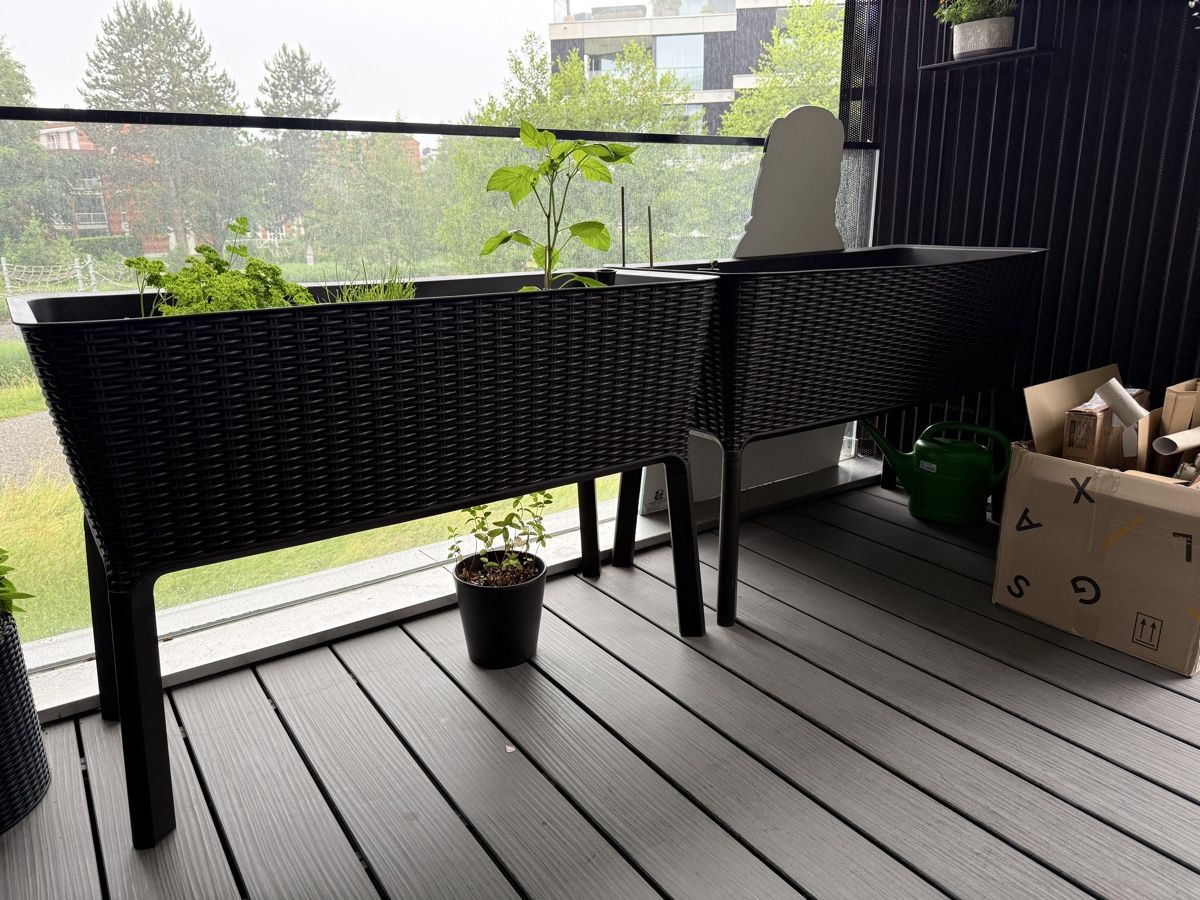 Keter Vasi per fiori: Hochbeet Rattan Keter Easy Grow braun – Usato da Zug venduto da subaru1942
