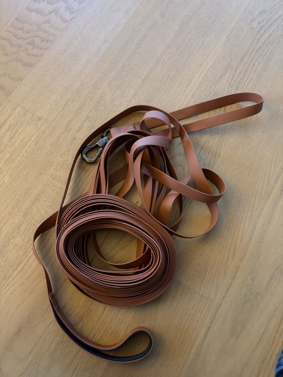 Leine & Halsband: Schleppleine – Neu (gemäss Beschreibung) aus Wangen b. Olten von oli_f9b8 1