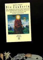 Die Zauberin von Taisha Abelar