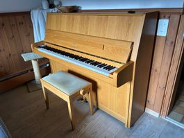 Sehr gepflegtes Yamaha E116N mit wunderschönem Klang