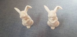 2 Hasen von Rosenthal