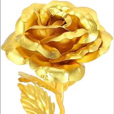 Profile image of rosadoro1973