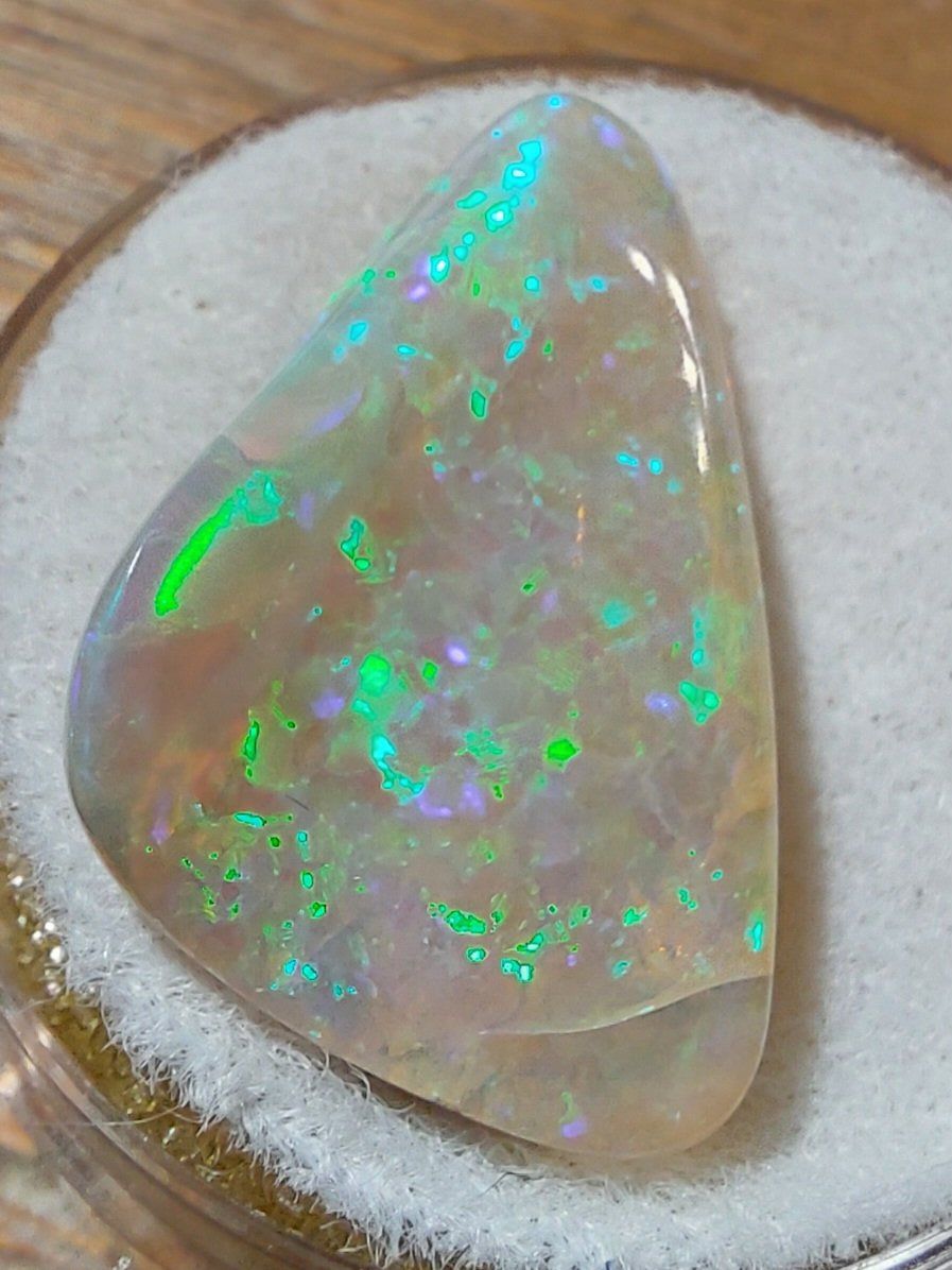 Edelsteine: Opal (opalisiertes Muschelstück) – Neu (gemäss Beschreibung) aus Klingnau von Tamina5