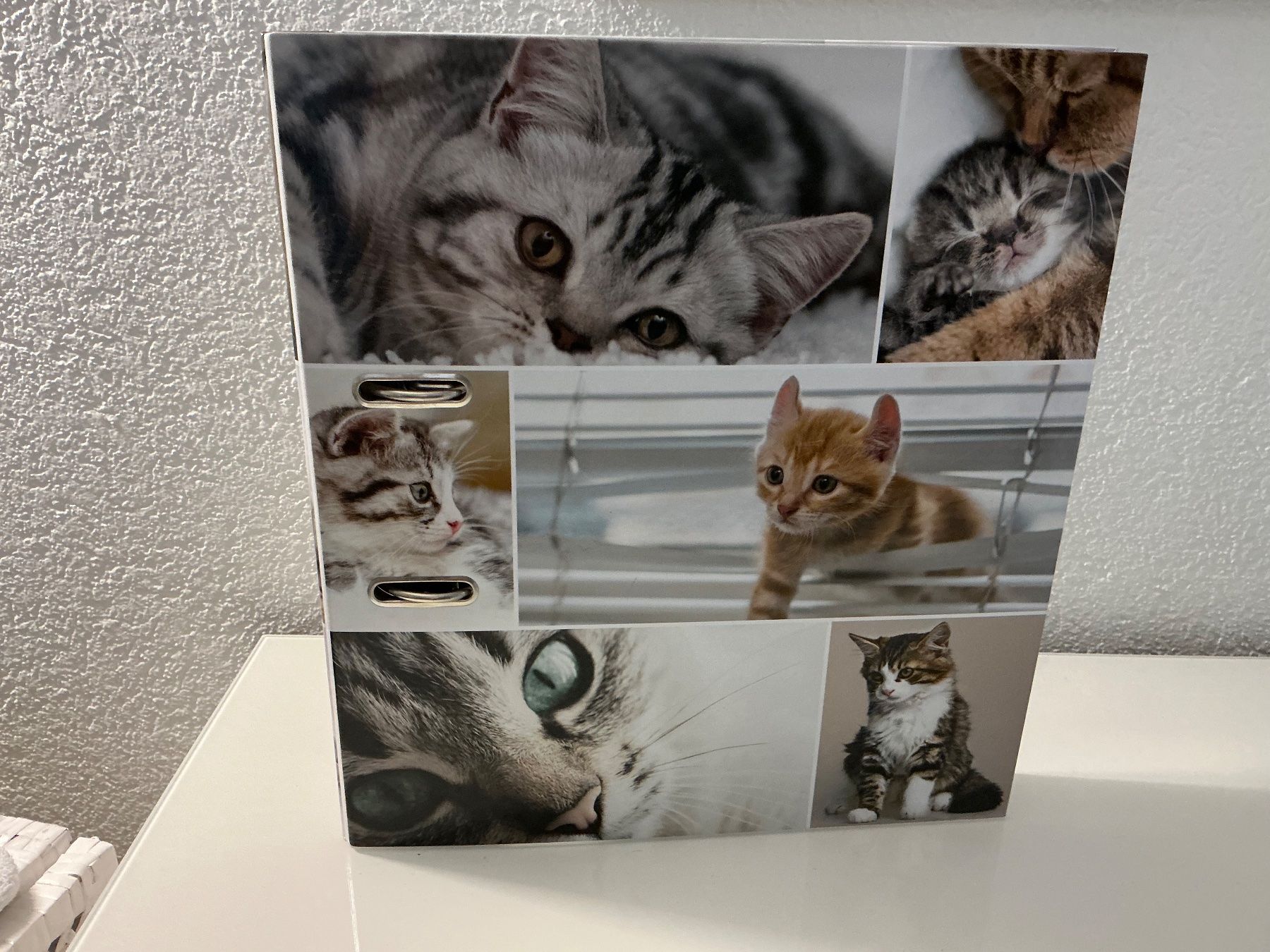 Raccoglitori: Katzen Ordner neu – Nuovo (secondo la descrizione) da Würenlos venduto da Starceve 2