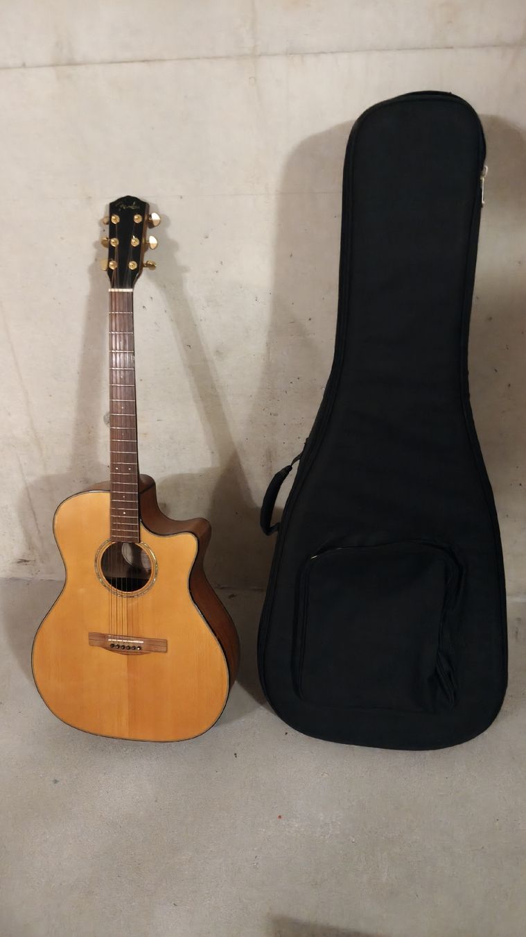 Fender Musikinstrumente: Fender Akustik Gitarre mit Softcase – Gebraucht aus Allschwil von music4freaks01