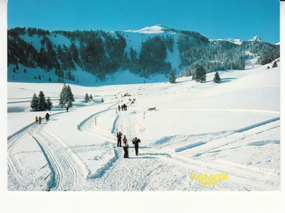 Cartoline postali: Flumserberge 1984 – Usato da Bürglen TG venduto da StampGraf