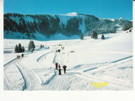 Flumserberge 1984