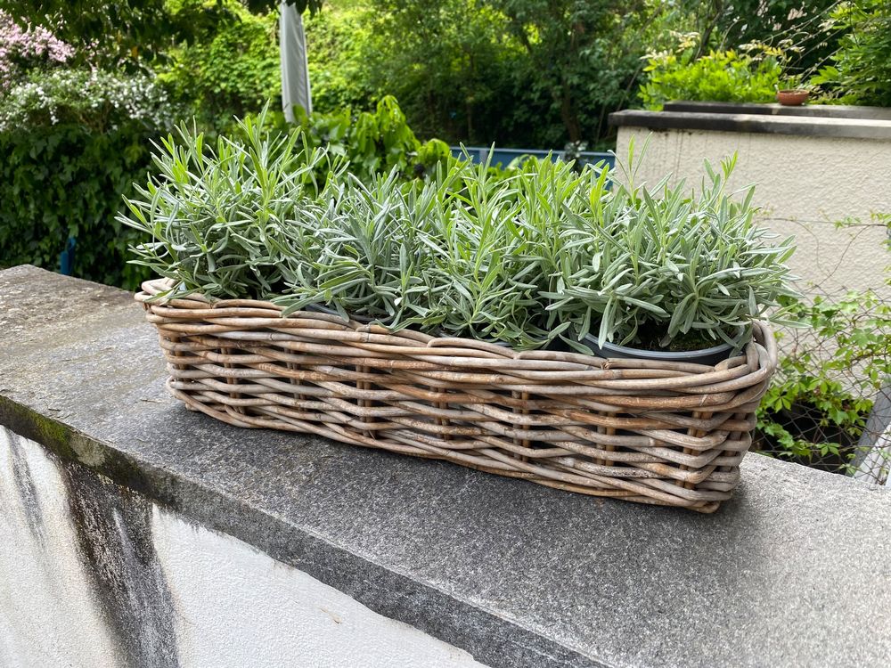 Blumenubertopf Mit Fuen