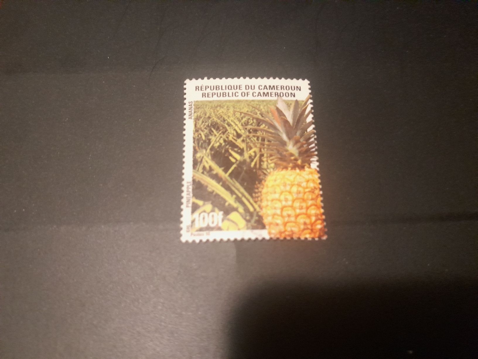 Alle Briefmarken: Cameroun ananas rare – Gebraucht aus Marly von globetrotter1723