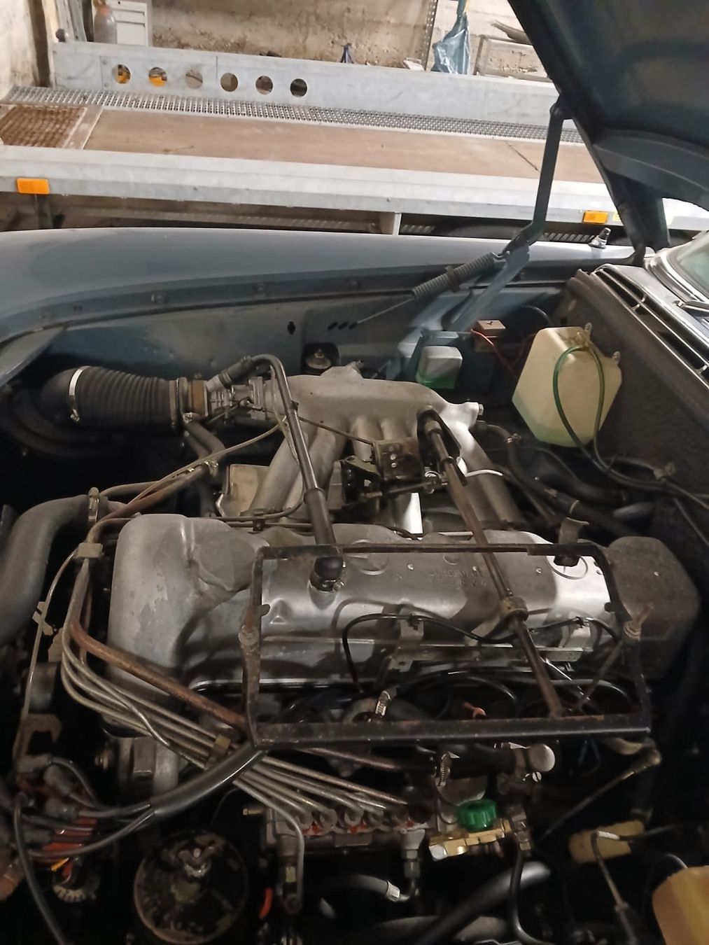 Mercedes-Benz Automobili: Mercedes Benz 250 SE – Usato da Buch am Irchel venduto da nellsch87 3