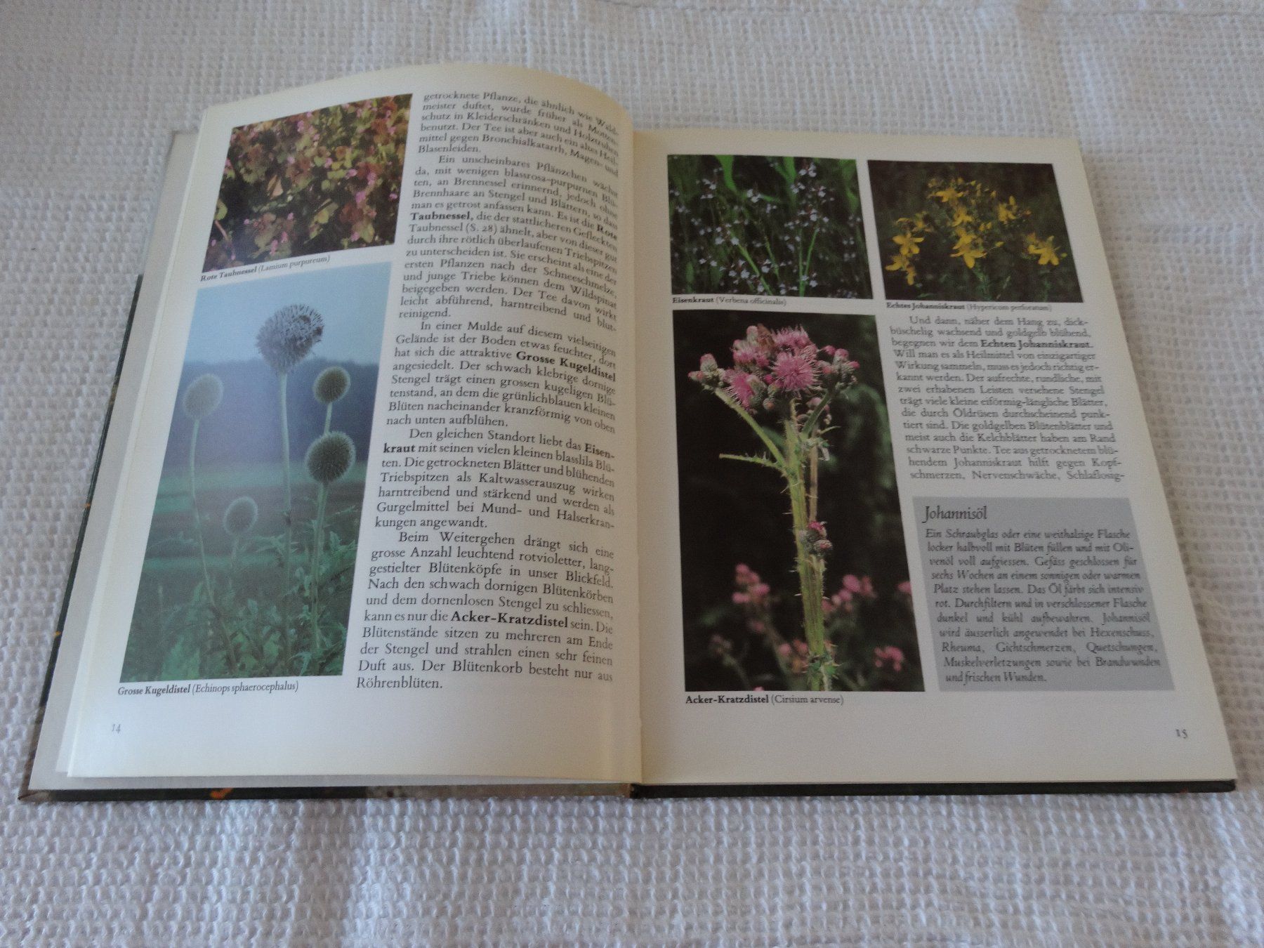 Libri: Streifzug durch Wald und Wiese – Usato da Neerach venduto da jenny062 3
