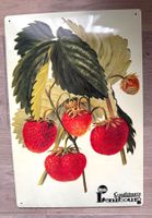 Dekoratives HERO Blechschild 39.5 x 26.5 cm Erdbeeren