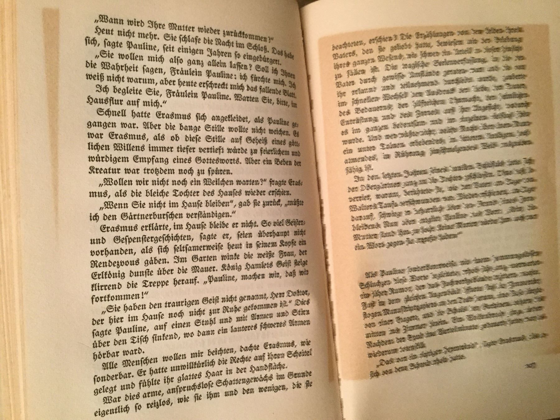 Libri: Gerhart Hauptmann - Im Wirbel der Berufung – Usato da Luzern venduto da Einh0rn 7