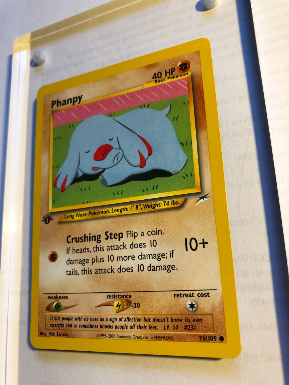 Carte collezionabili: Phanpy 1st Neo Destiny - NM - ab 1.- – Usato da Giubiasco venduto da dan_pr8b 2