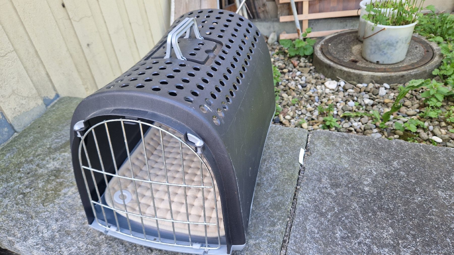 Liege- & Schlafplätze: Katzen-/ Hundetransportbox – Gebraucht aus Hinwil von Jackweed