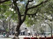Illuminazione & Effetti luce: LED Space Ball 20 + HST-201 – Nuovo e nell'imballaggio originale da Däniken SO venduto da Profog1 7