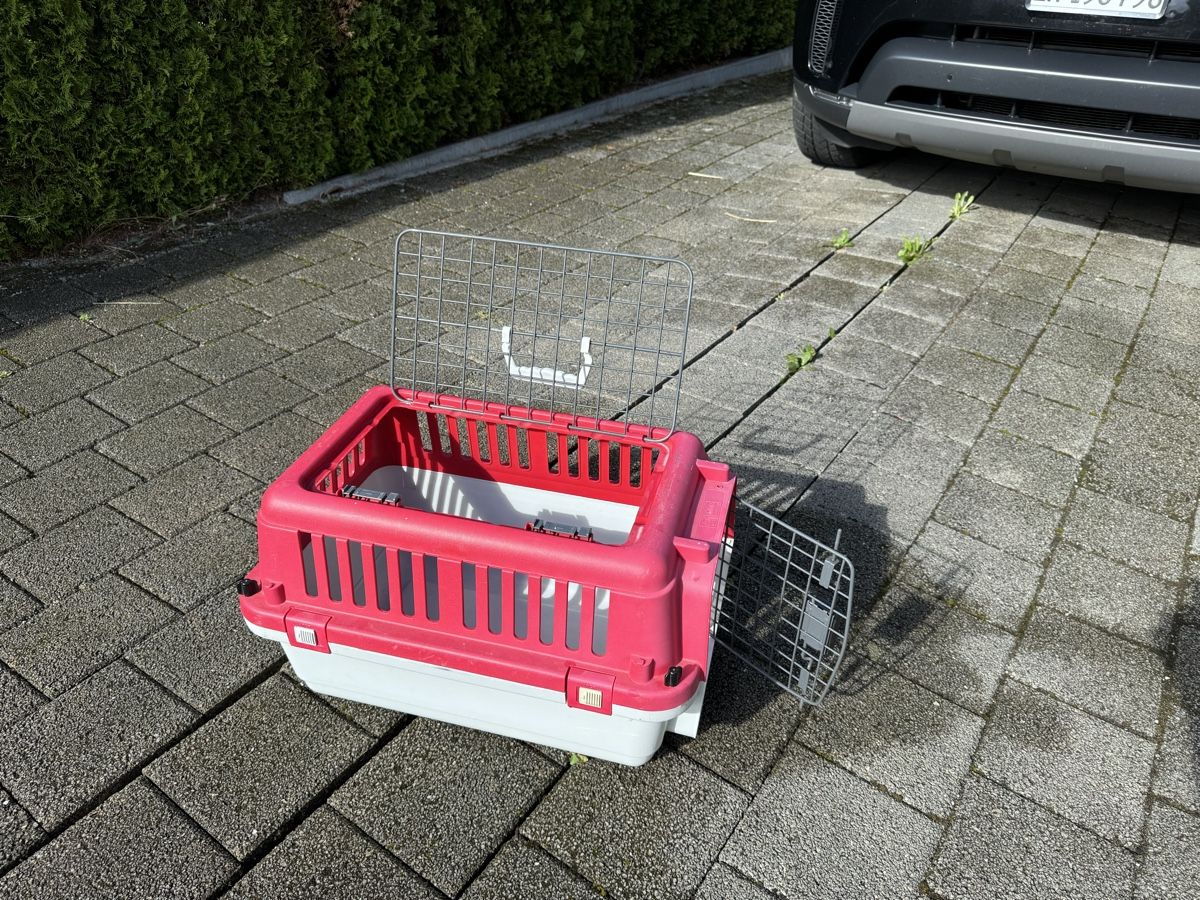 Käfige, Transport & Sicherheit: Hunde- und Katzenbox – Gebraucht aus Kefikon ZH von Gary97 3