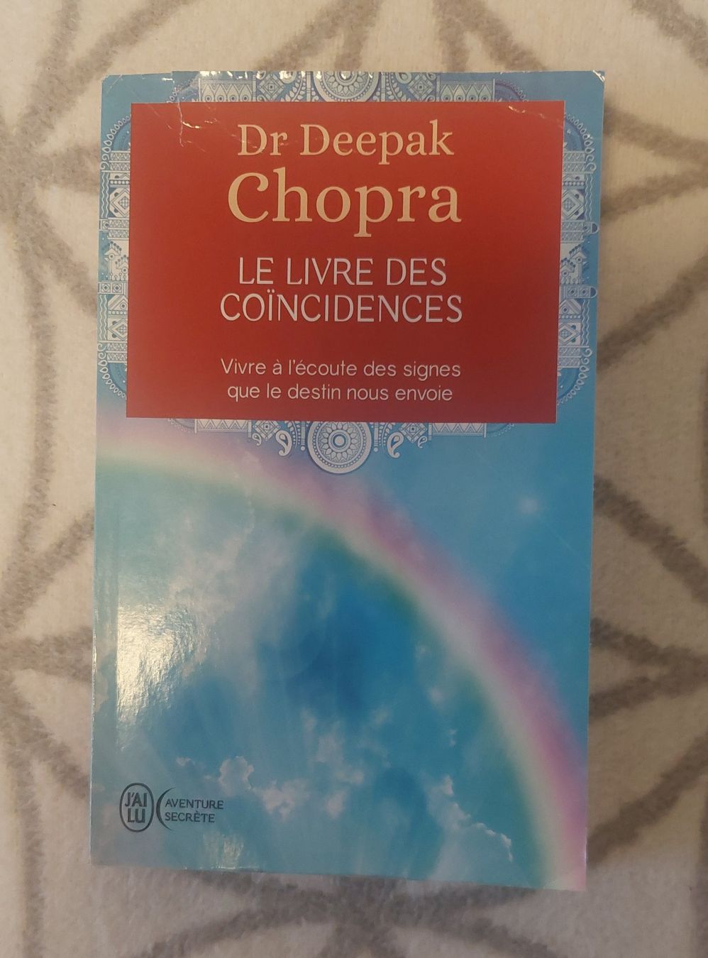 Libri: Le livre des coïncidences – Usato da Bassins venduto da Dyva80