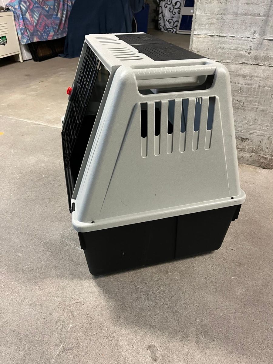 Ferplast Gabbie, trasporto & Sicurezza: Hundebox – Usato da hagneck venduto da SurvivalDog 2