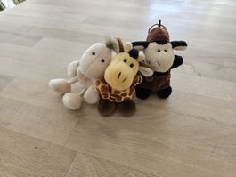 Nici Freunde suchen neues zuHause
