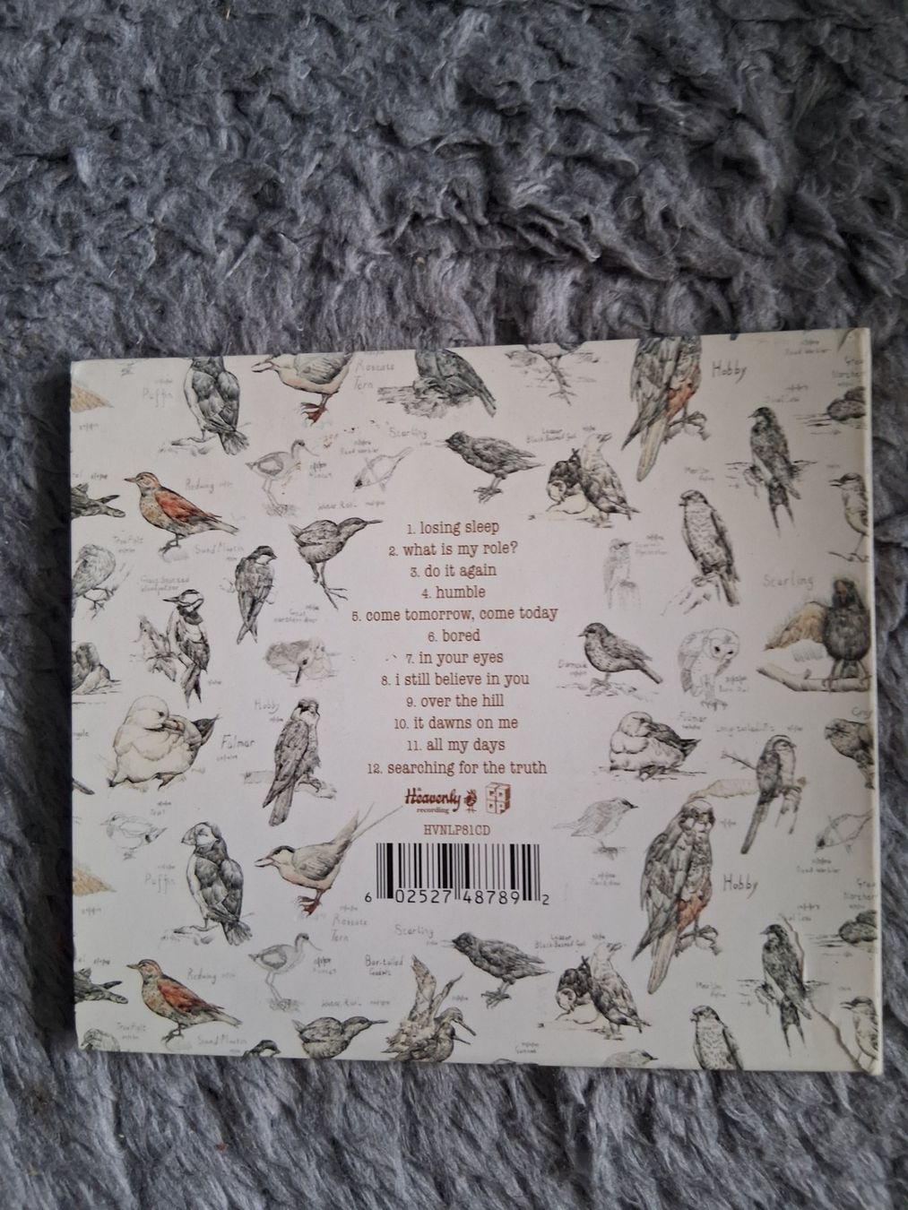 CD: EDWYN COLLINS     LOSING SLEEP     CD – Usato da Wetzikon ZH venduto da Ramones01 1