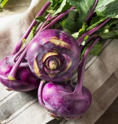 Piante & sementi: 30 SAMEN GRAINES SEMI  Blauer Kohlrabi – Nuovo e nell'imballaggio originale da Rovio venduto da POSITIFFARTandPLANTS 7