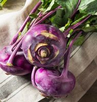 Ab 5.- fr ! 10 SAMEN GRAINES SEMI  Blauer Kohlrabi‪‪‪‪‪