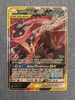 Amphinobi et Zoroark GX fr Escouade / Tag Team