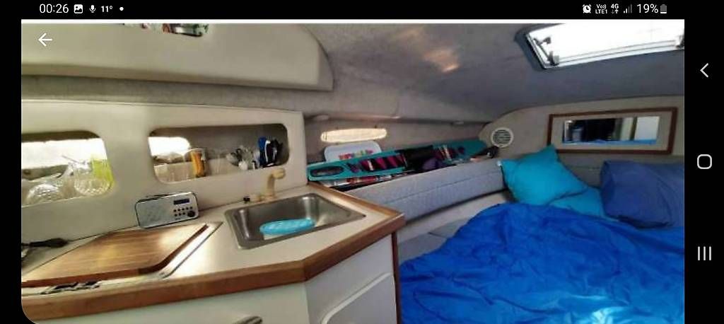 Bateaux: Bateau moteur Sea Ray – D'occasion à L'Auberson par Phil_3plus3 1