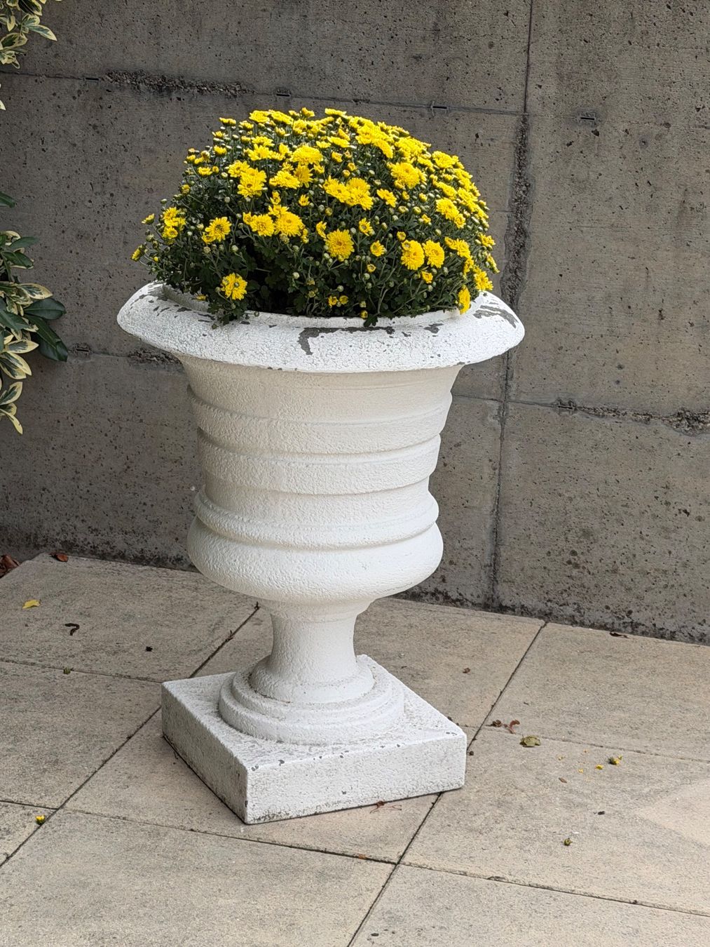Vasi per fiori: Wunderschönen Blumentopf , gross – Usato da Solothurn venduto da anni22 3