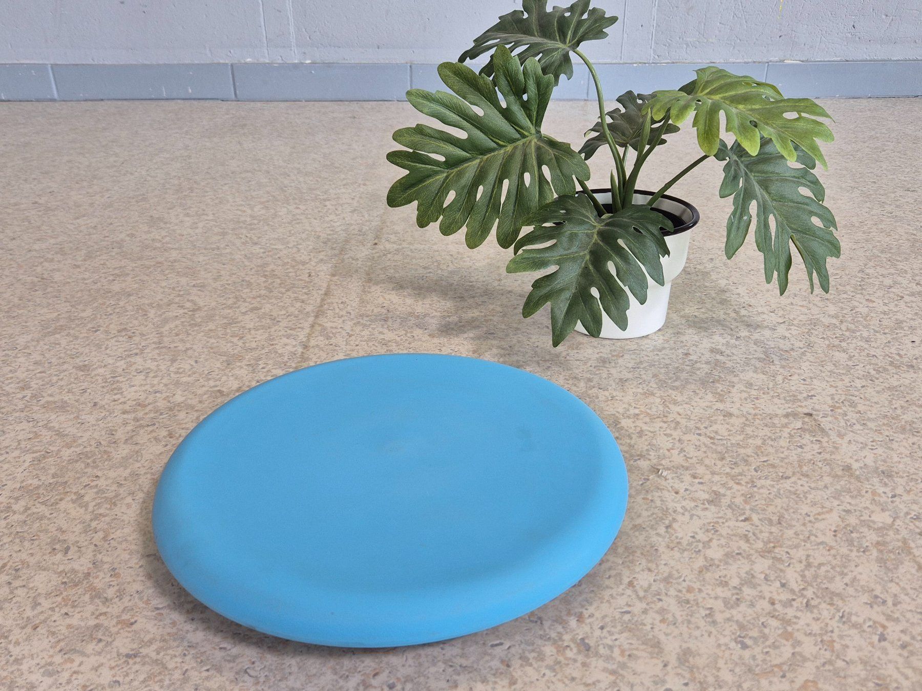 Autres articles pour la maison: Blumenständer Pflanzenroller Blumenhocker Blumenroller – D'occasion à Nottwil par Wondewa-Shop