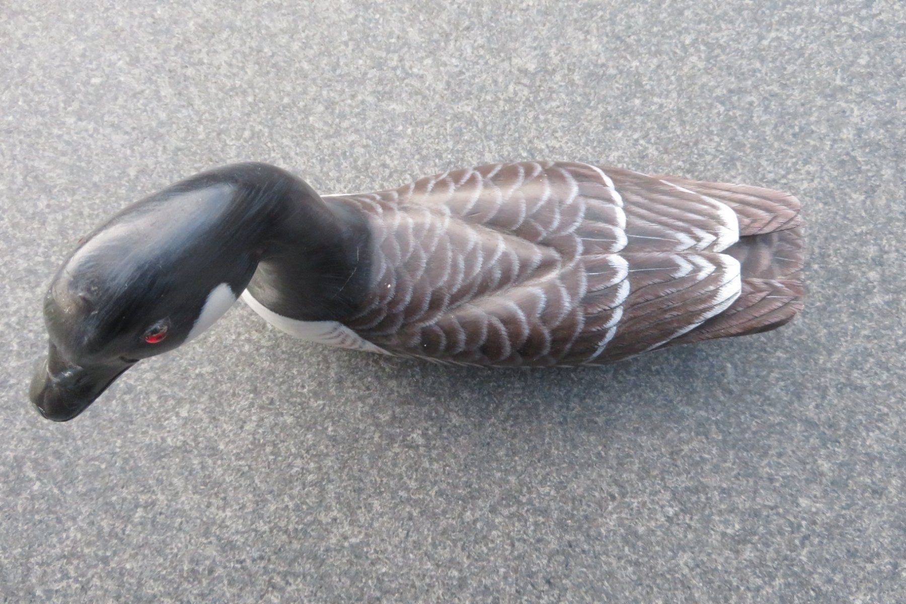 Statuette: CANADA GOOSE Holz – Usato da Wil ZH venduto da Tamagy 1