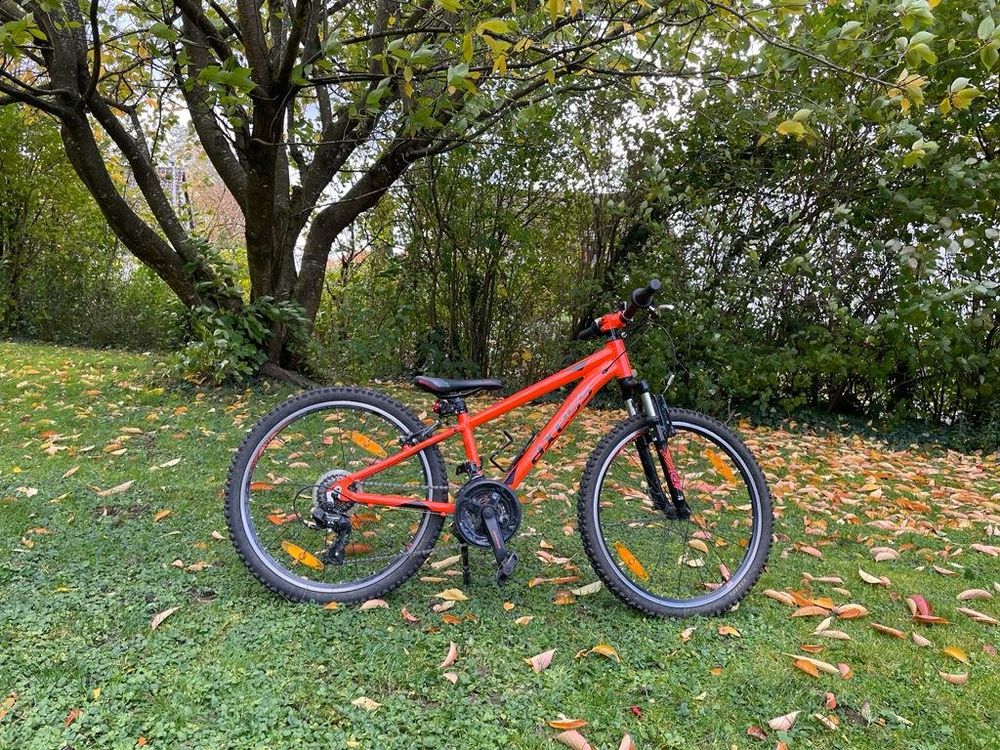 Das Ultimative Kinder Mountainbike 24 Zoll Abenteuer Wartetfeed