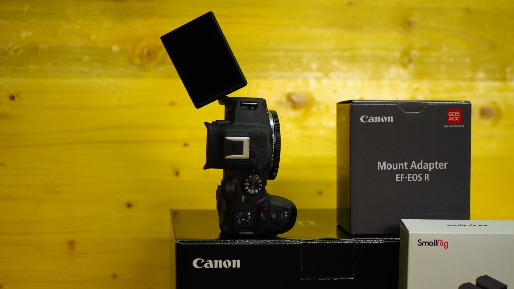 Canon Kamera: Canon R 7 – Gebraucht aus subingen von rumaxxx1 1