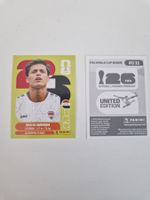 Panini Sticker IRQ11