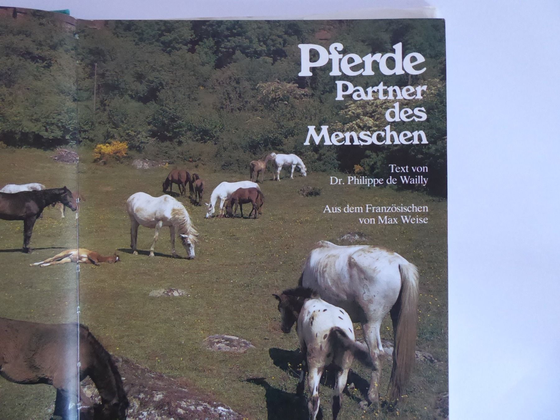 Bücher: Buch: Pferde - Partner des Menschen – Gebraucht aus Turbenthal von Nautop 2