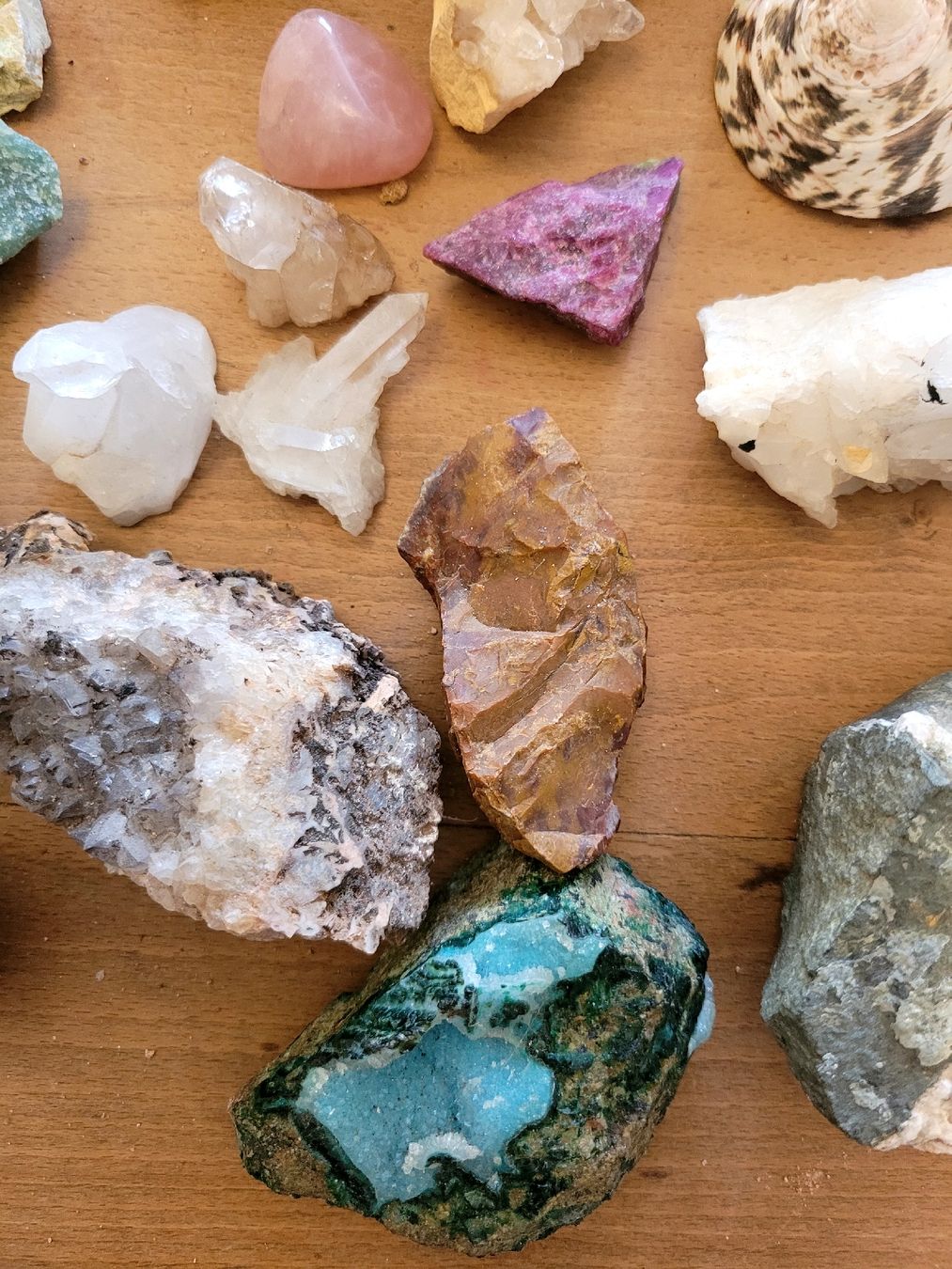 Pietre preziose: Sammlung Halbedelsteine, Ammoniten, Muscheln – Usato da Bern venduto da MoeDoe 7