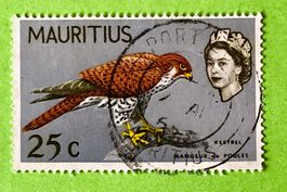 BRIEFMARKEN AUS  Mauritius Vögel GESTEMPELT  