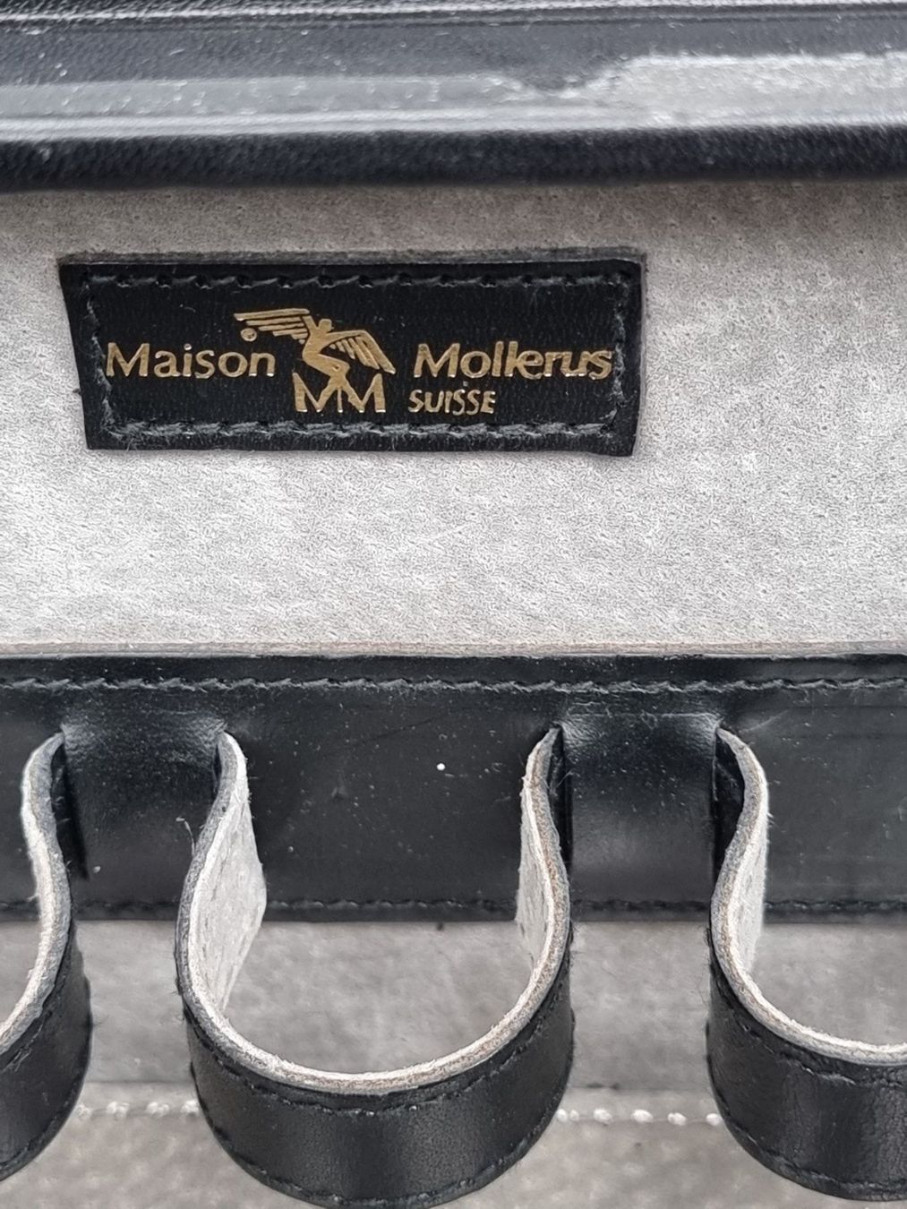 Maison Mollerus Valigie: KOSMETIK KOFFER MOLLERUS – Usato da Egerkingen venduto da sirod05 1