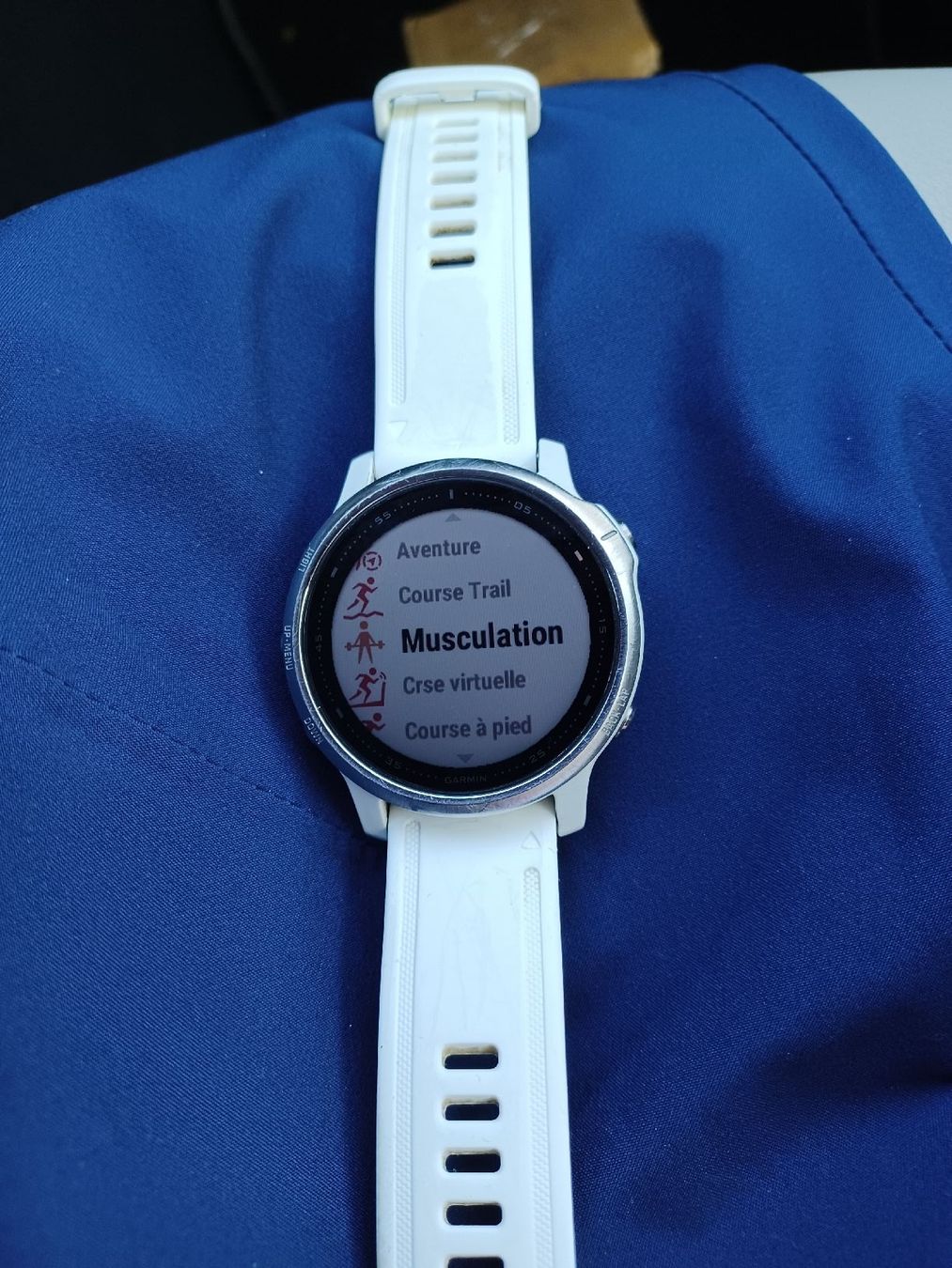 Fenix Smartwatch: Garmin Fenix 6S – Usato da Servion venduto da josephine22 1